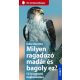 Milyen ragadozó madár és bagoly ez?