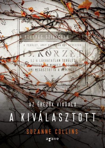 A kiválasztott