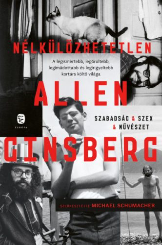 Nélkülözhetetlen Allen Ginsberg