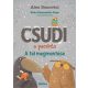 Csudi, a pacsirta - A tél megmentése