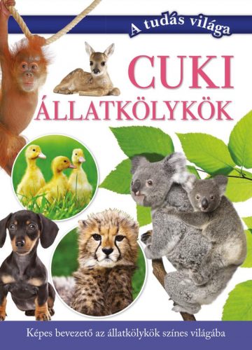 Cuki állatkölykök