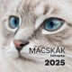 Macskák falinaptár - 2025