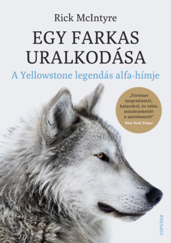 Egy farkas uralkodása - A Yellowstone legendás alfahímje